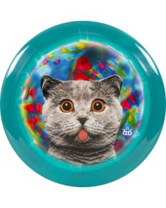 Dynamic Discs- Raider