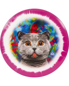 Dynamic Discs- Verdict